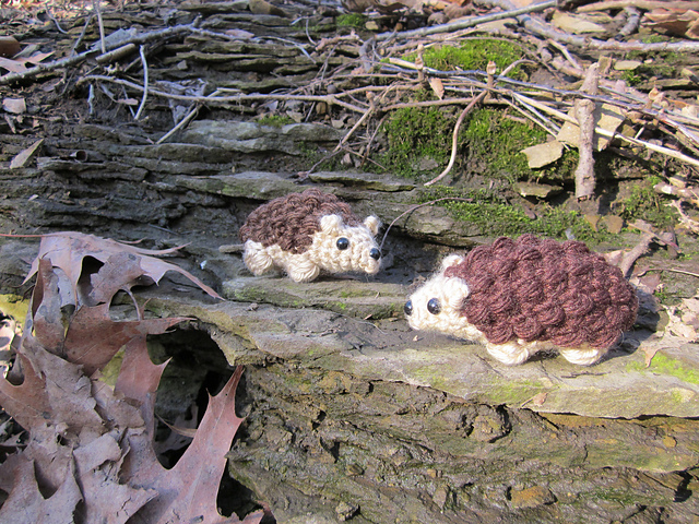 No-Sew Hedgehog