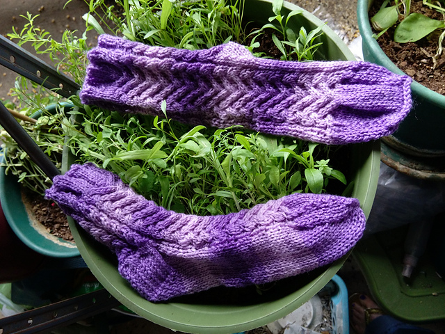 Joined Braid Socks