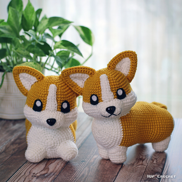 Cute Corgi