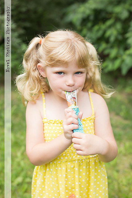 Popsicle & Yogurt Cozy