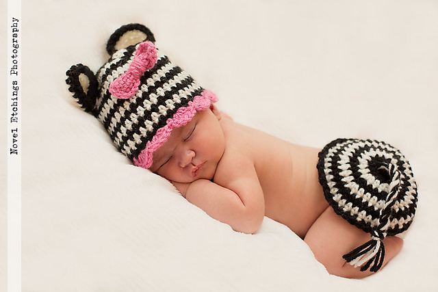 Zebra Baby