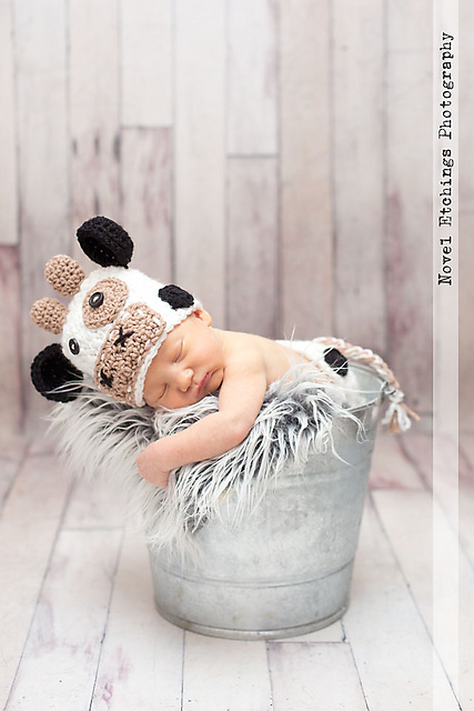 Cow Baby