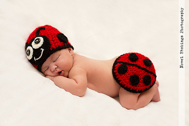 Ladybug Baby