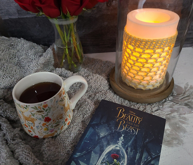 Enchanted Candlelight Candle Cozy