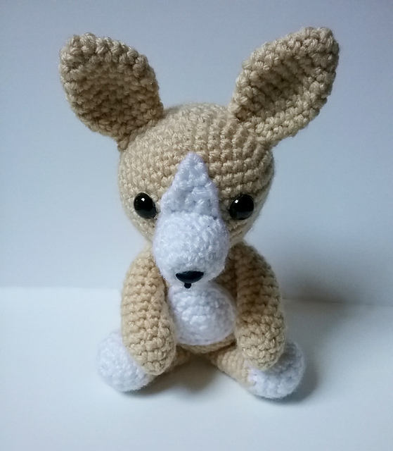 Chihuahua