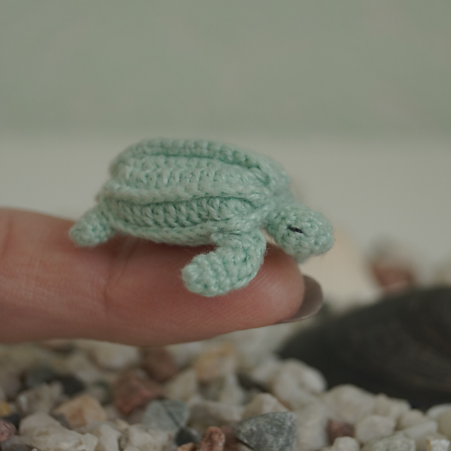 Sea turtle