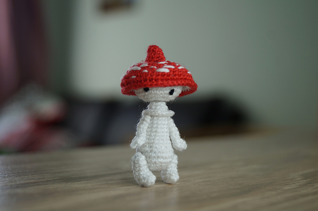 Fly agaric mushroom