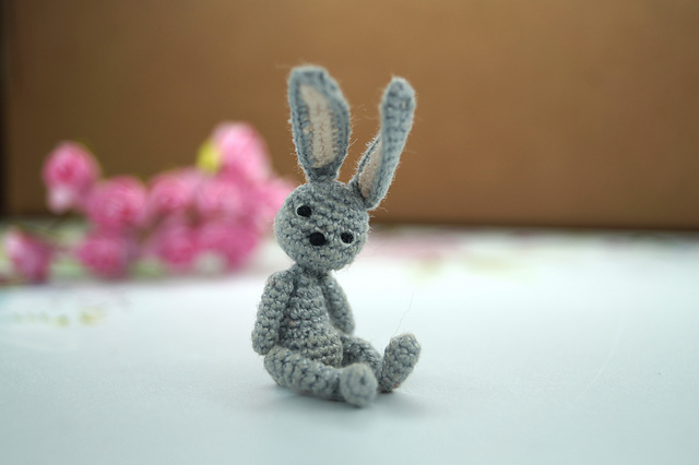 Bunny