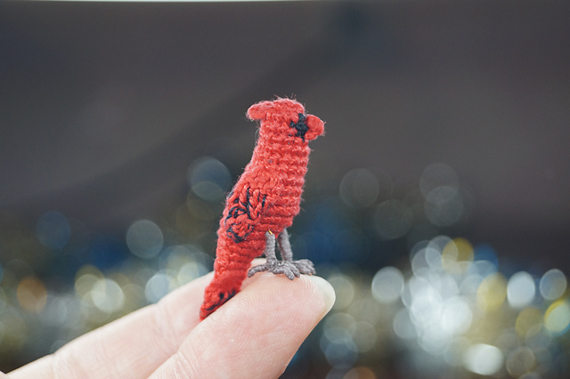Red Cardinal