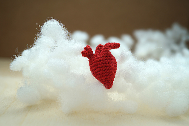 Anatomical heart