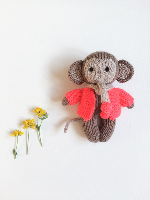 Mini Monkey
