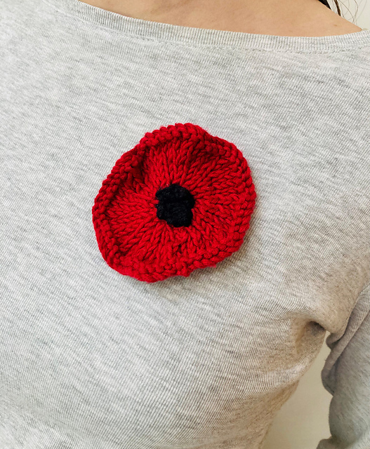 Poppy for Remembrance Day