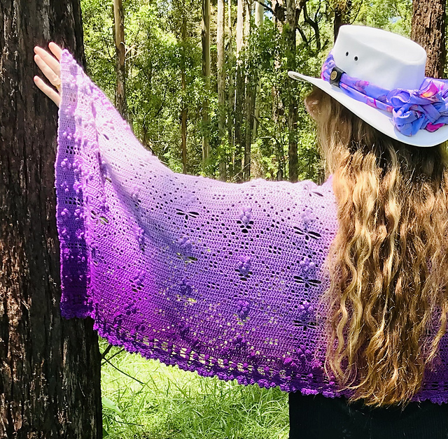 Dragonfly Hide n Seek Shawl