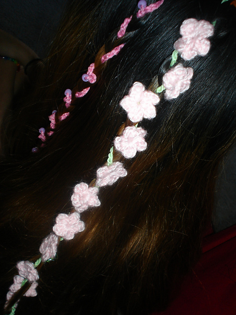 Hair Braids