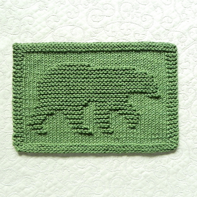 American Black Bear Dishcloth