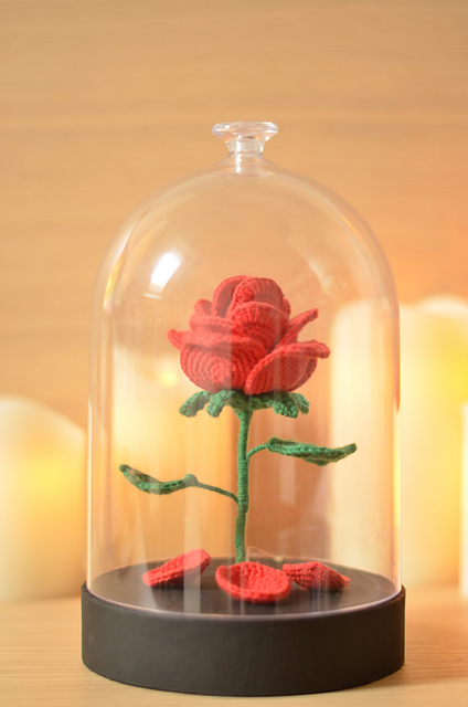 Enchanted Rose