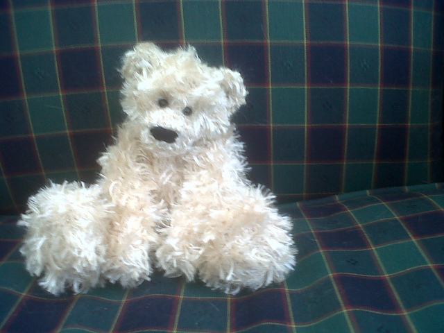 Pocket Bear