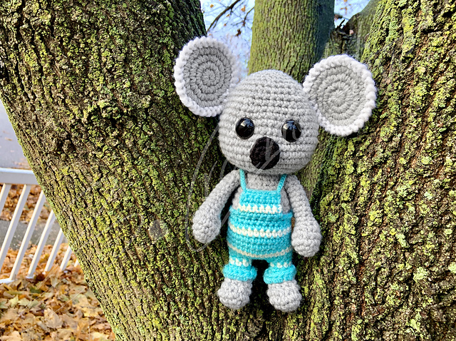 Koa the Koala