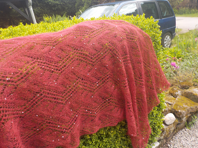 Lace Scarf
