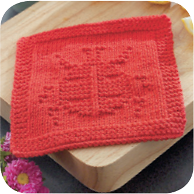 Ladybug Dishcloth Knook