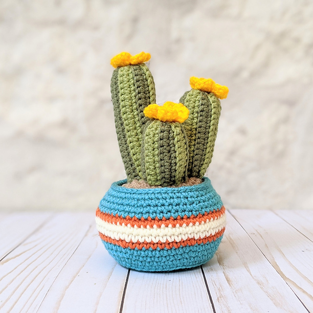 Cozy Fall Cactus