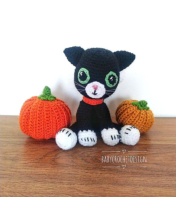 Meow the KItten