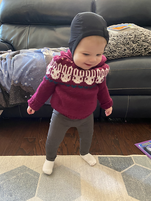 Hooded Mini Pullover