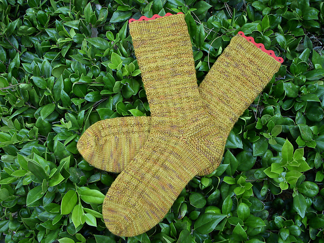 #253 Anne Simply Textured Socks
