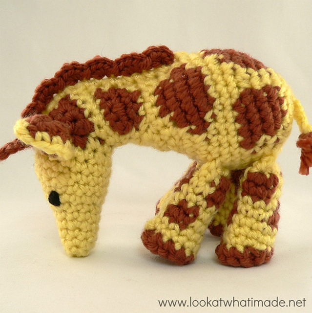 Gendry the Giraffe