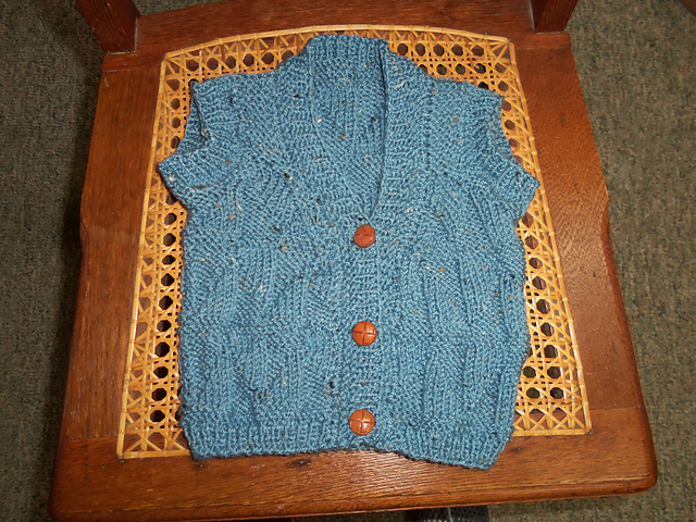 Toddler Blue Vest