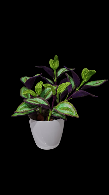 Ravelry: Crochet Tradescantia Zebrina plant pattern by T Jaik