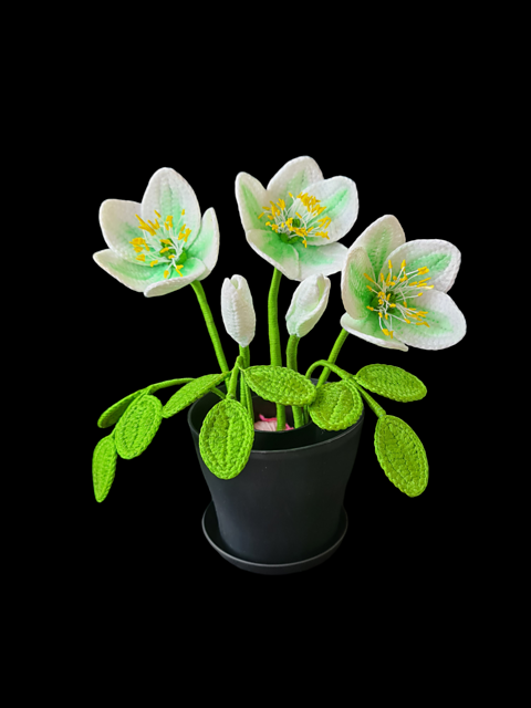 Ravelry: Crochet Hellebore flowers pattern by T Jaik