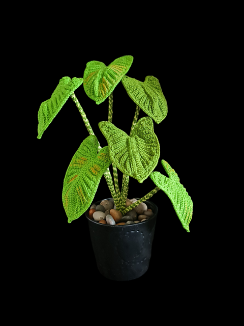 Crochet Elephant ear leaf/Zebrina plant