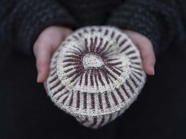FUYU Beanie