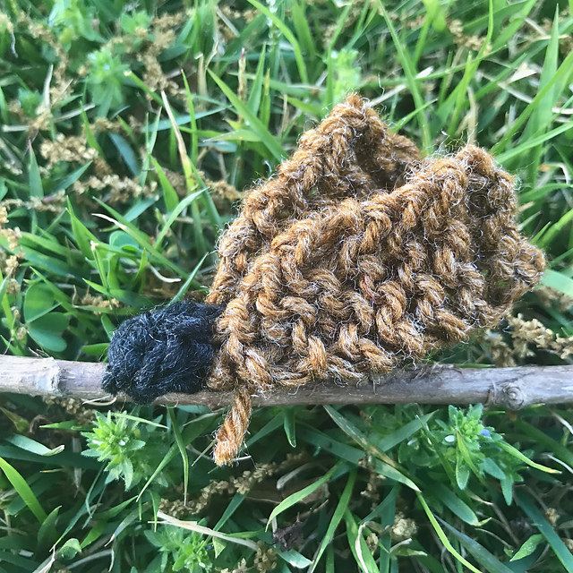 Brood X Cicadas Nymph and Adult