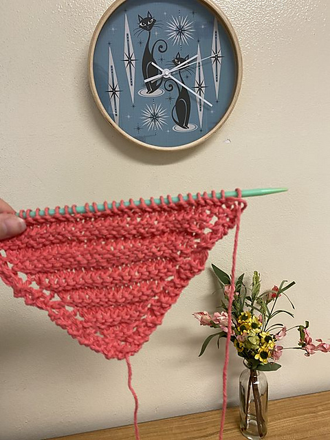 Poinciana Dishcloth