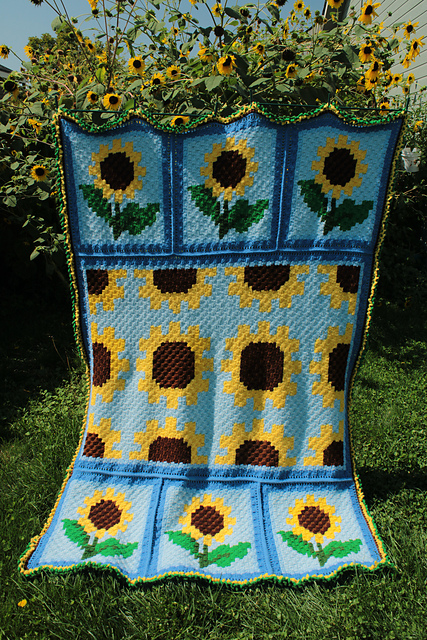 Sunflower Field C2C