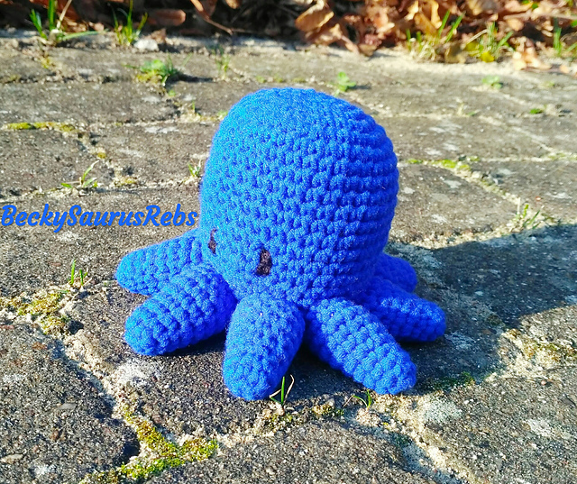 Baby octopus