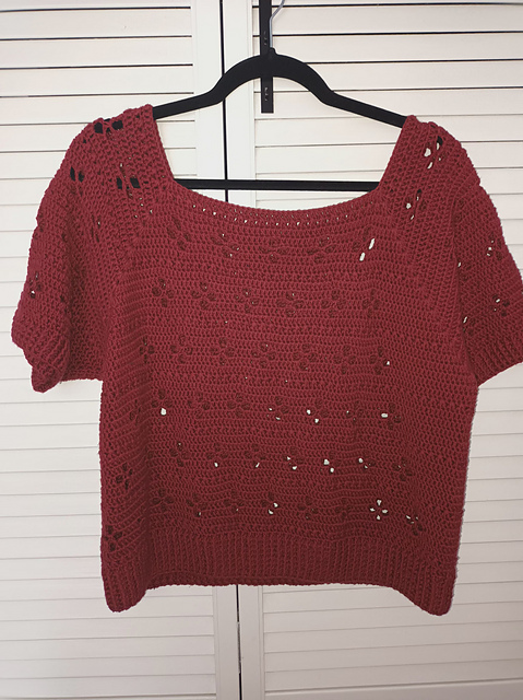 Daisy Raglan Top