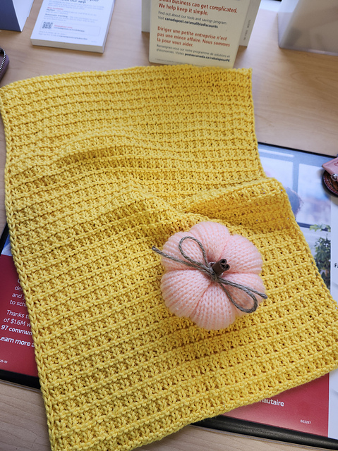Hurtle Turtle Dish Towel