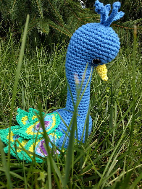 Prince the Peacock
