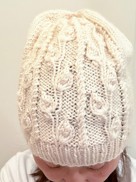 #58 3D IVY Beanie