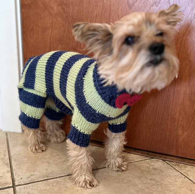 #50 Dog Collared Onesie