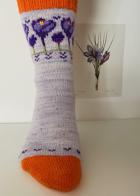 Krokus Socks