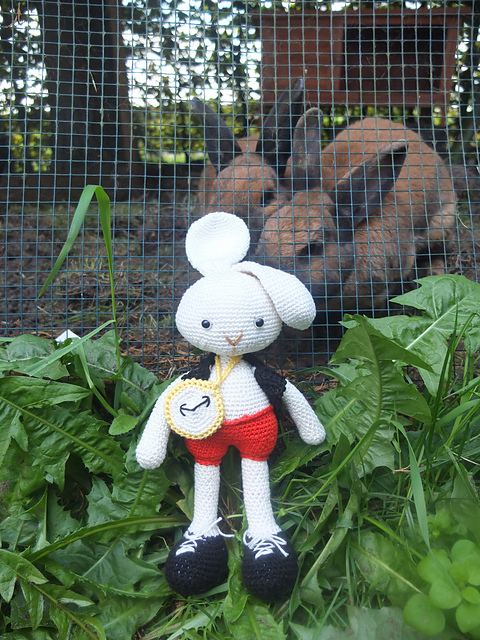 Alice In Wonderland - The White Rabbit