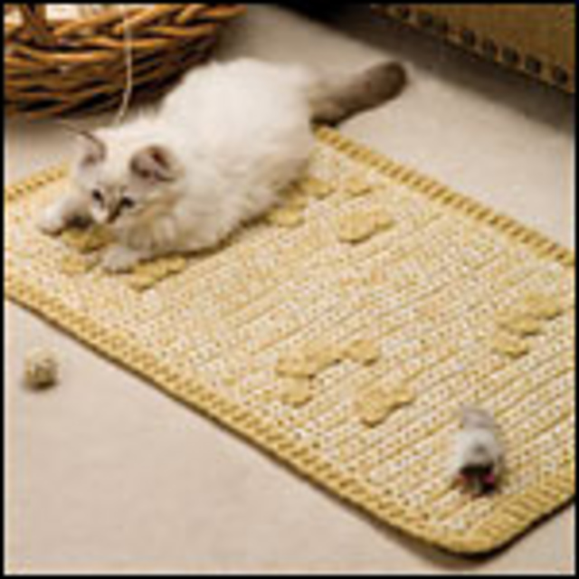 Kitty Rescue Rug & Ball
