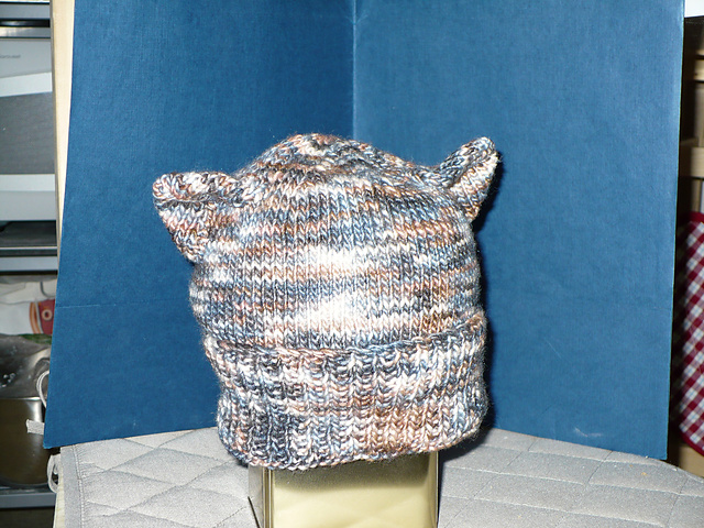 Calico Kitty Hat