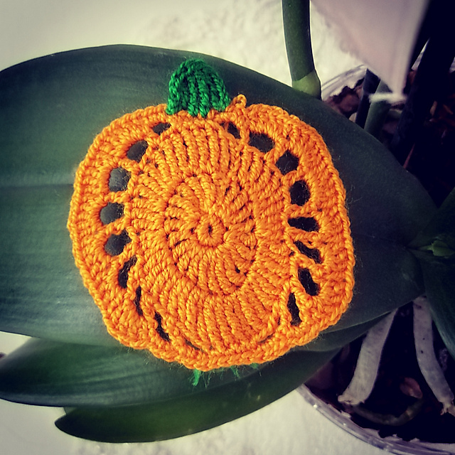 Pumpkin Applique/Bal Kabağı Motifi