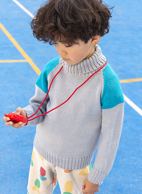 Pull raglan bicolore col roulé Idris - M6334