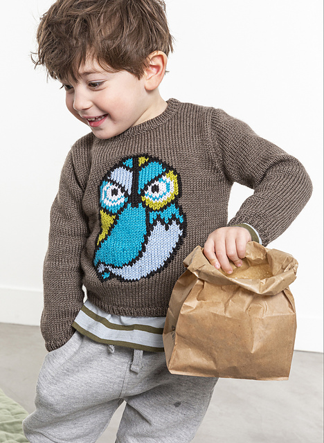 Pull jacquard chouette Ignace - M2984